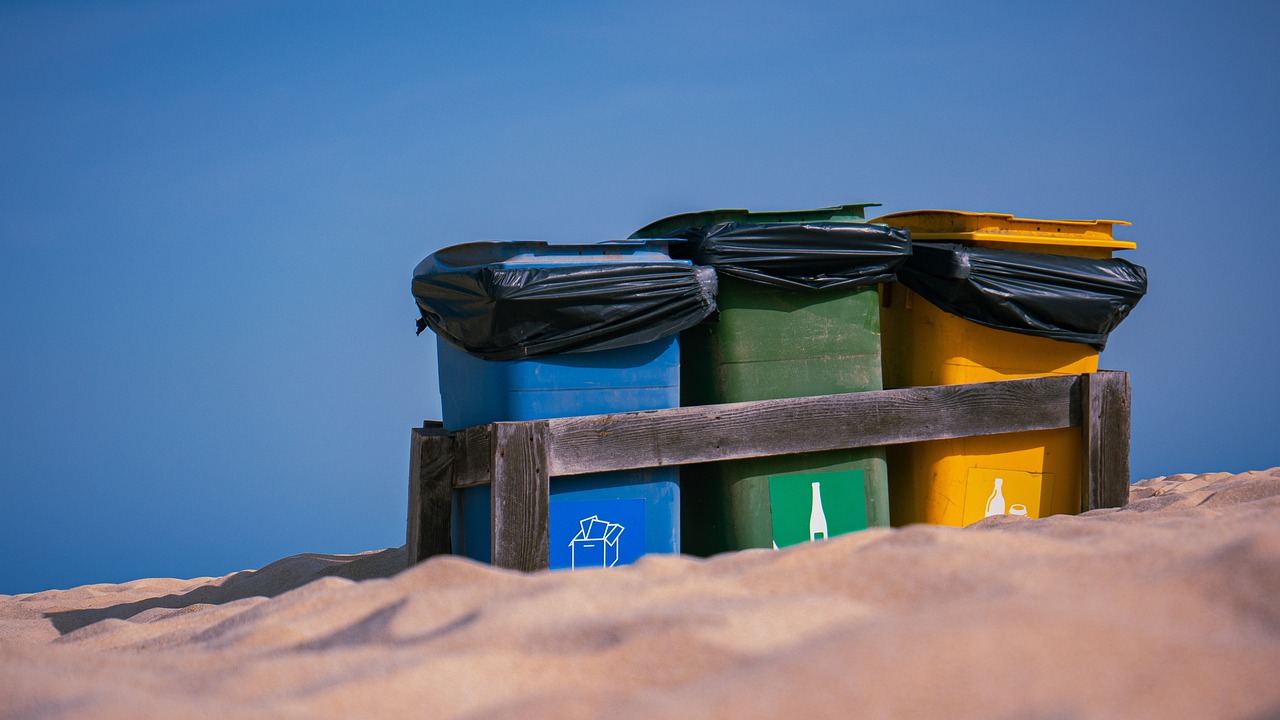 How to Reduce Your Food Waste?
